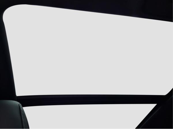 Audi SQ8 SUV 4.0 TSFI quattro ACC MATRIX StHzg 360°