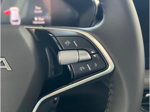 Skoda Fabia Selection 1.0 MPI *Winterpaket,LED*