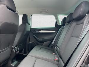 Skoda Karoq **Jahreswagenknaller**