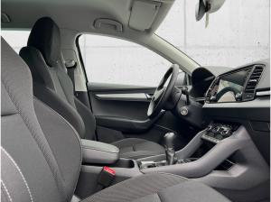 Skoda Karoq **Jahreswagenknaller**