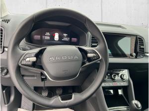 Skoda Karoq **Jahreswagenknaller**