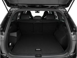 Volkswagen Tayron R-Line 2.0 TDI DSG Kamera Winter ACC