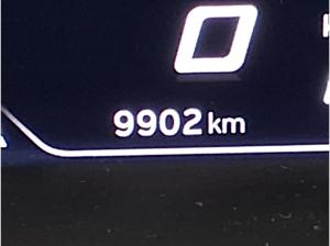 Seat Ibiza 🔥KEINE NEBENKOSTEN🔥150 PS🔥DSG🔥