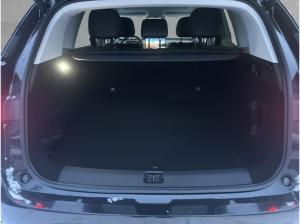 Leapmotor C10 #IRMSCHER #598 PS