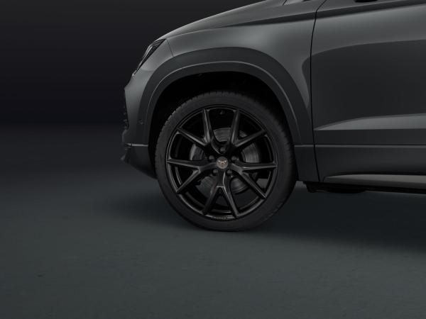 Cupra Ateca 1.5 TSI AHK elk.Heckkl. Fahrassistenz-Paket