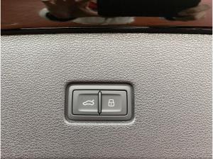 Audi RS Q8 SUV performance tiptr. Vmax305 Laser PANO