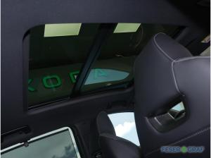 Skoda ENYAQ Enyaq RS 84 kWh 4x4 - PANO,NAVI,AHK,MATRIX