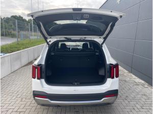 Kia Sorento PE 2.2D Platinum AWD DCT8 Leder Nappa 360°Kamera Head-Up