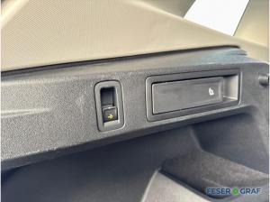 Volkswagen Tiguan 2.0 TDI DSG Goal AHK NAVI LED-PLUS KAM