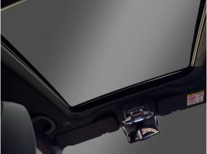 Alfa Romeo Stelvio Veloce Q4 2.2 JTD - AHK - Panoaramadach - 21''