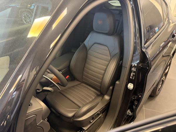 Alfa Romeo Stelvio 2.0 Turbo 16V Q4 AT INTENSA Abholung Mannheim