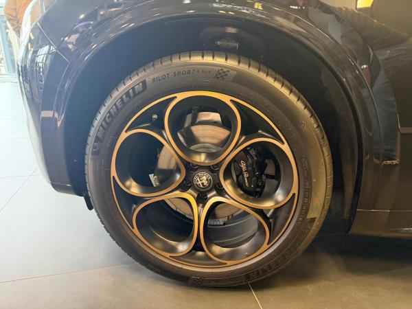 Alfa Romeo Stelvio 2.0 Turbo 16V Q4 AT INTENSA Abholung Mannheim