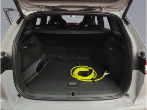 Skoda ENYAQ Enyaq 85 RS Wärmepumpe AHK NAVI LED ACC RFK DAB