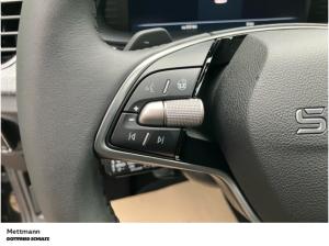 Skoda Kamiq Tour 1.5 TSI  (Mettmann)