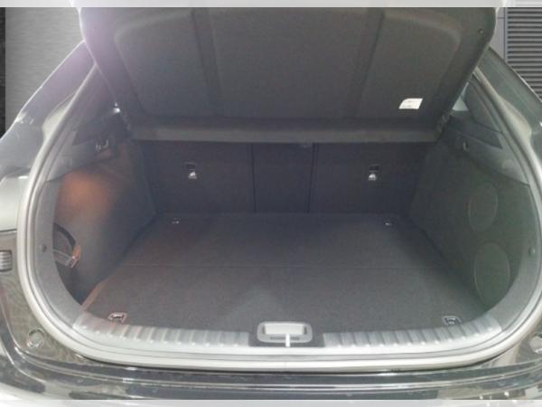 Kia XCeed 1.6T 150PS DCT SPIRIT XCLUSIVE-Paket