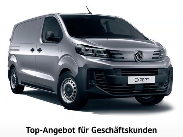 Peugeot Expert Trennwand