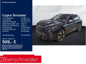 Cupra Terramar 2.0 TSI 4Drive VZ AHK PANO SENNH 360