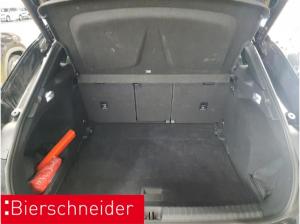 Cupra Terramar 2.0 TSI 4Drive VZ AHK PANO SENNH 360