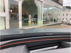 Cupra Terramar America`s CUP Limited Edition  2.0 TSI 4DRIVE (265PS)