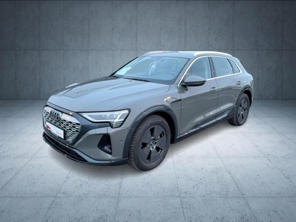 Audi Q8 e-tron 50 quattro PANO HUD AHK Matrix 19