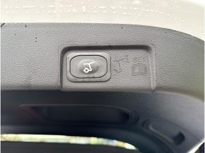 Ford Puma ST Handling Paket +++ SOFORT VERFÜGBAR +++