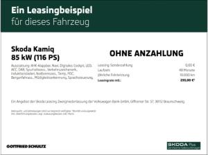 Skoda Kamiq Tour TSI DSG AHK Infotainment-Paket Fahrassistenz-Paket