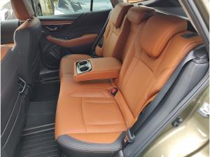 Subaru OUTBACK Outback 2.5i Platinum AWD Automatik