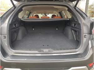 Subaru OUTBACK Outback 2.5i Platinum AWD Automatik