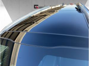 Kia Sorento Platinum 2.2D / AWD / DCT8 / 7-Sitze / NAP / PREM / GD