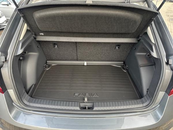 Skoda Fabia 1,0 TSI DSG Tour AHK*ASIST*INFOT*WINTER