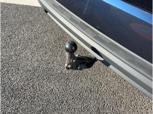 Audi A5 Avant 2.0 TDI quattro Matrix Tech plus AHZV