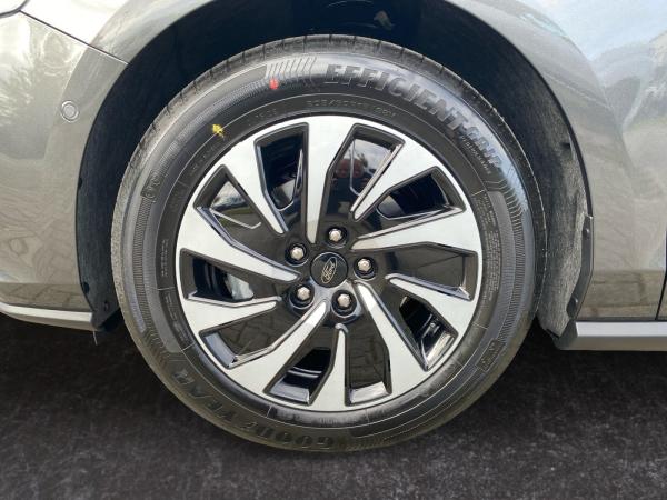 Ford Focus mit Fahrerassistenz und Easy-Paket,Panorama Dach