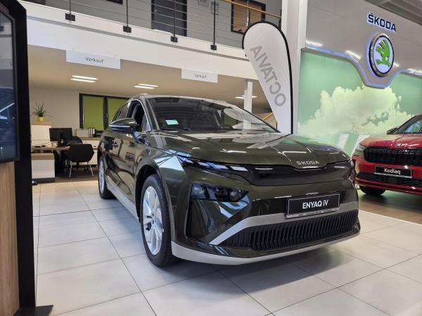 Skoda ENYAQ Plus - AHK NAVI PDC Uni-Charger