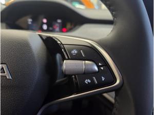 Skoda ENYAQ Plus - AHK NAVI PDC Uni-Charger