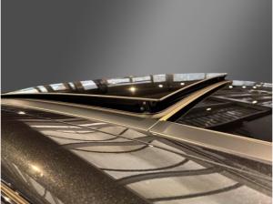 Alfa Romeo Stelvio Veloce Q4 2.0 Turbo - AHK - 21 Zoll- Panoramadach