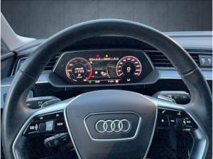 Audi Q8 e-tron advanced 50 qu. PANO HUD AHK Matrix 19