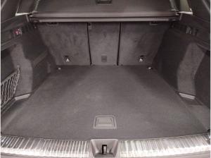 Audi SQ5 TFSI S tronic MatrixLED Luft Massage