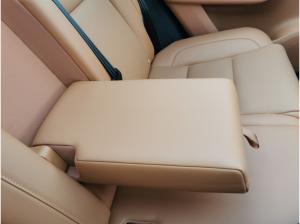 Leapmotor C10 Design Navi|360-kamera|Sitz-/Lenkradheizung