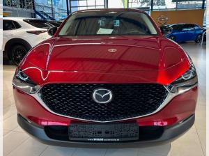 Mazda CX-30 *Leasing-Kracher* e-SKYACTIV X M-Hybrid 186 Homura AT