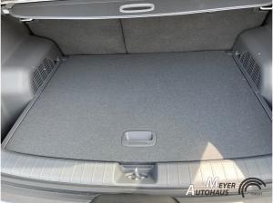 Kia EV3 Earth 58.3 KWH Wärmepumpe+Bussiness+Upgrade+DriveWisepark