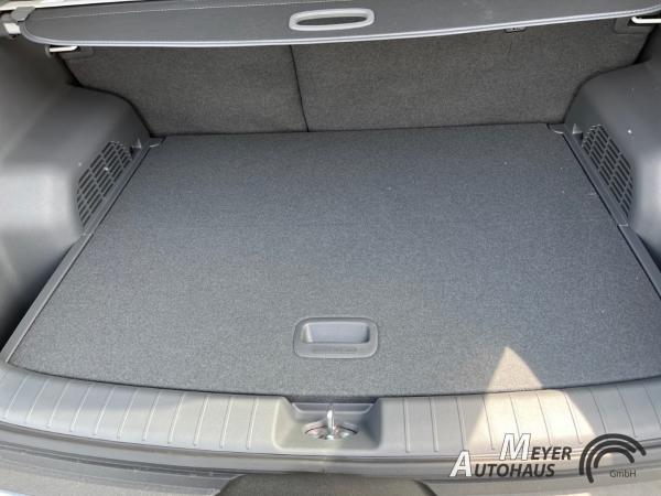 Kia EV3 Earth 58.3 KWH Wärmepumpe+Bussiness+Upgrade+DriveWisepark