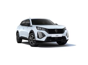 Peugeot 2008 BUSINESS Benzin 100