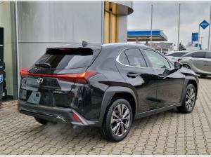 Lexus UX-300h Hybrid 💥 F-Sport Design 💥 Bis zu 15 Jahre Garantie!