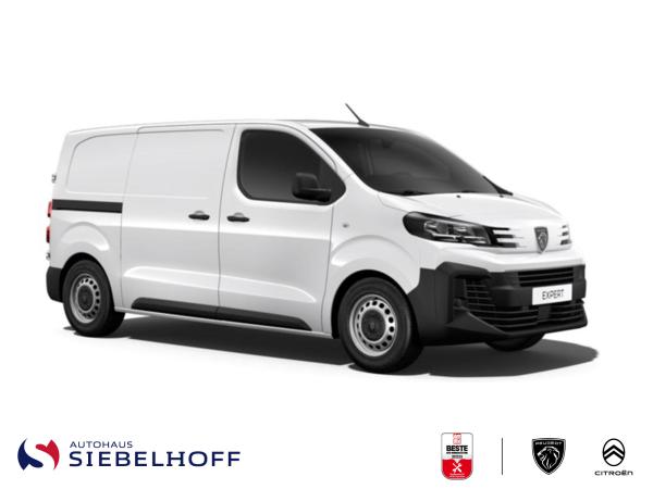 Peugeot Expert Kastenwagen M BlueHDi 120 Manuell