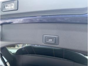 Cupra Terramar 1.5 eTSI DSG Navi LED SHZ PDC