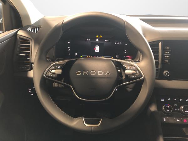 Skoda Karoq 1.5 TSI DSG Tour AHK MATRIX NAVI