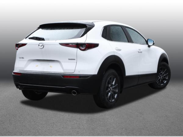 Mazda CX-30 Homura 2.5L e-SKYACTIV G Automatik 🔥
