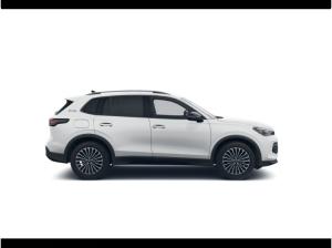 Volkswagen Tiguan 1.5 eTSI Goal el.Heck LM LED DynLi SpurH