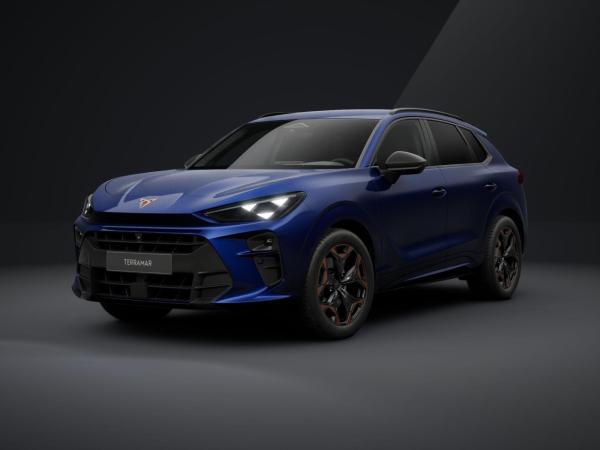 Cupra Terramar 2.0 TSI 4Dr. +AHK+NAVI+SENNHE+STANDHEIZ