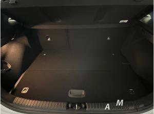 Kia Ceed 1.0T-GDI 100 Ultimate Edition +Style-Paket